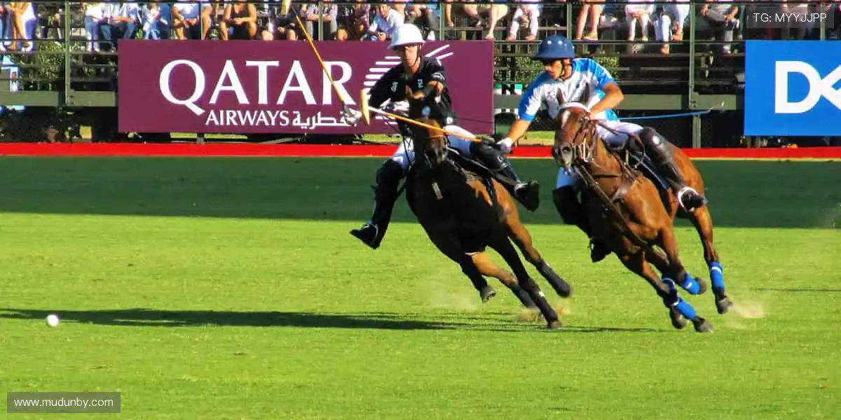 加入体育社区，一起挥洒汗水，共创辉煌！