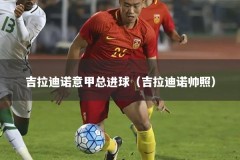 吉拉迪诺意甲总进球（吉拉迪诺帅照）