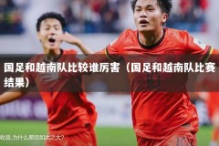 国足和越南队比较谁厉害（国足和越南队比赛结果）