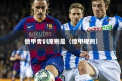 德甲青训原则是（德甲规则）