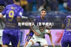 意甲经理人（意甲老大）