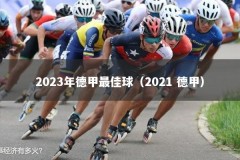 2023年德甲最佳球（2021 德甲）