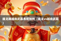 国足踢越南武磊表现如何（国足vs越南武磊）