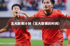 五大联赛计划（五大联赛的时间）