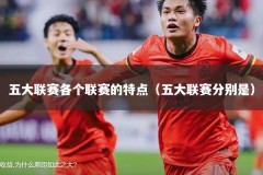 五大联赛各个联赛的特点（五大联赛分别是）