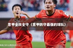 意甲全攻全守（意甲防守最强的球队）