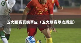 五大联赛真实草皮（五大联赛草皮质量）