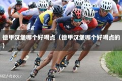 德甲汉堡哪个好喝点（德甲汉堡哪个好喝点的）