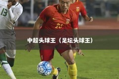 中超头球王（足坛头球王）