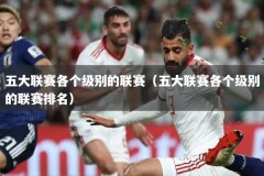 五大联赛各个级别的联赛（五大联赛各个级别的联赛排名）