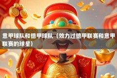 意甲球队和德甲球队（效力过德甲联赛和意甲联赛的球星）