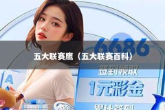 五大联赛鹰（五大联赛百科）