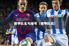 德甲队名与绰号（德甲队员）
