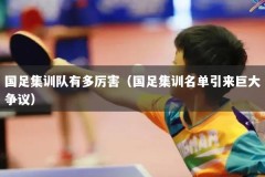 国足集训队有多厉害（国足集训名单引来巨大争议）