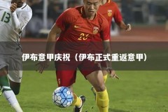 伊布意甲庆祝（伊布正式重返意甲）