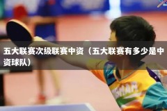 五大联赛次级联赛中资（五大联赛有多少是中资球队）