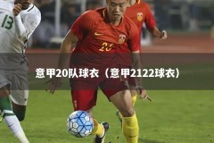 意甲20队球衣（意甲2122球衣）