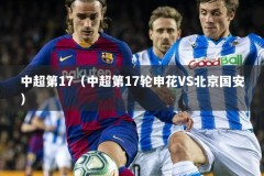 中超第17（中超第17轮申花VS北京国安）