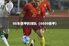 08年德甲的球队（0809德甲）