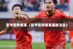 意甲暂停赛事（意甲暂停赛事最新消息）