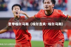 意甲埃尔马斯（埃尔吉夫·埃尔马斯）