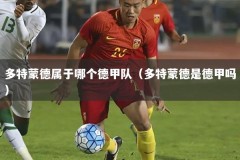 多特蒙德属于哪个德甲队（多特蒙德是德甲吗）