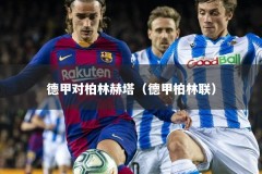 德甲对柏林赫塔（德甲柏林联）