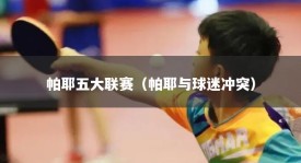 帕耶五大联赛（帕耶与球迷冲突）