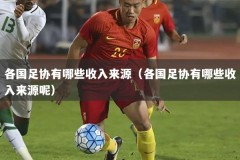 各国足协有哪些收入来源（各国足协有哪些收入来源呢）