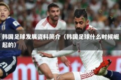 韩国足球发展资料简介（韩国足球什么时候崛起的）