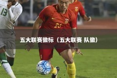 五大联赛徽标（五大联赛 队徽）