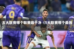 五大联赛哪个联赛最干净（5大联赛哪个最强）