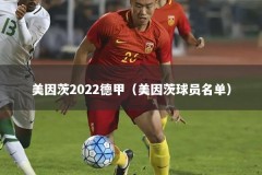 美因茨2022德甲（美因茨球员名单）