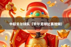 中超贝尔球队（贝尔足球比赛视频）