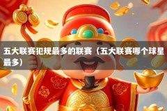 五大联赛犯规最多的联赛（五大联赛哪个球星最多）