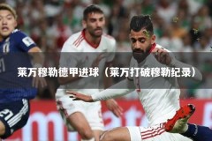 莱万穆勒德甲进球（莱万打破穆勒纪录）