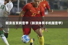 新浪首页网意甲（新浪体育手机版意甲）