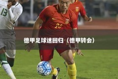 德甲足球迷回归（德甲转会）