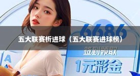 五大联赛析进球（五大联赛进球榜）