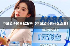 中国足协经营状况析（中国足协算什么企业）