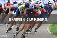 五大联赛北约（北约联盟成员国）
