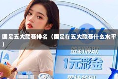 国足五大联赛排名（国足在五大联赛什么水平）