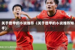 关于德甲的小说推荐（关于德甲的小说推荐知乎）