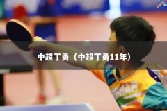 中超丁勇（中超丁勇11年）