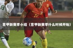 意甲新赛季小结（意甲新赛季什么时候开始）