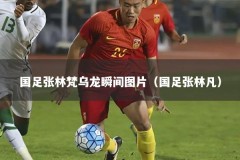 国足张林梵乌龙瞬间图片（国足张林凡）