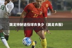 国足特制退役球衣多少（国足衣服）