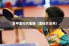 意甲雷科巴集锦（雷科巴首秀）