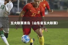 五大联赛青岛（山东省五大联赛）