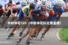 中超申花520（中超申花队比赛直播）